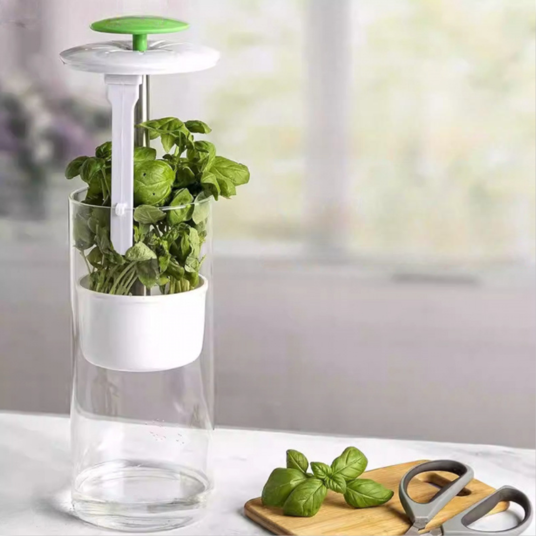 bac de stockage pour légumes